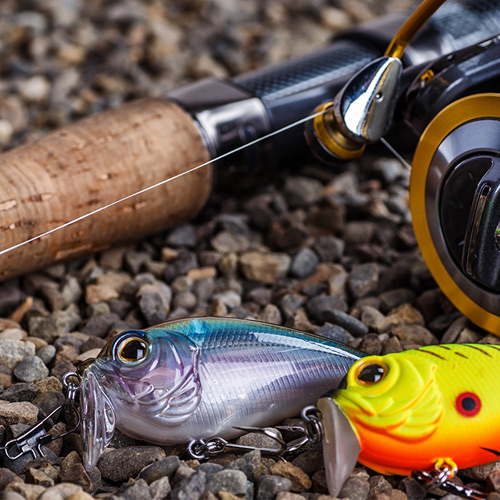 Trolling with Lures
