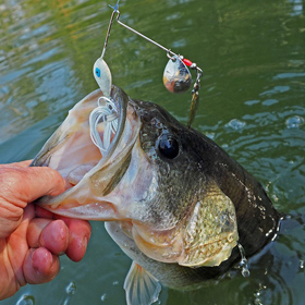 bass fishing in the spring