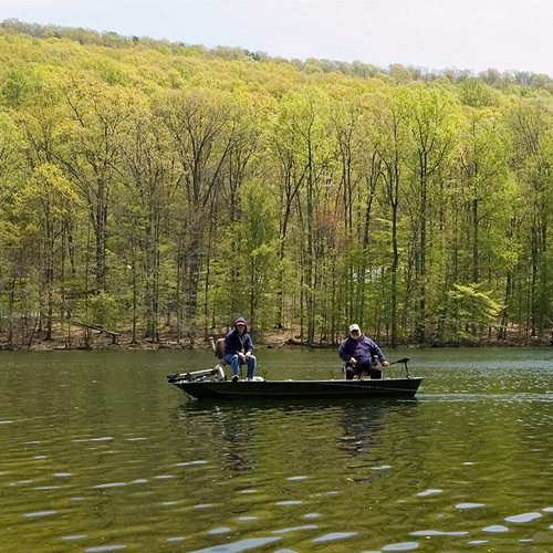 Find bass fishing tournaments in your local area