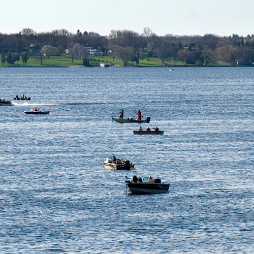 Participate in fishing tournaments