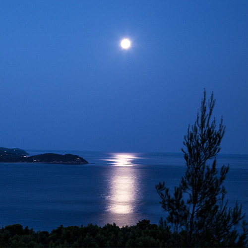 Fishing Moon Phase Theories & Tips 